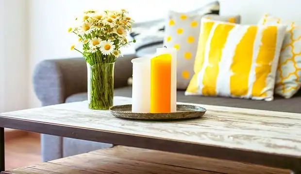 1035993_620x360.webp