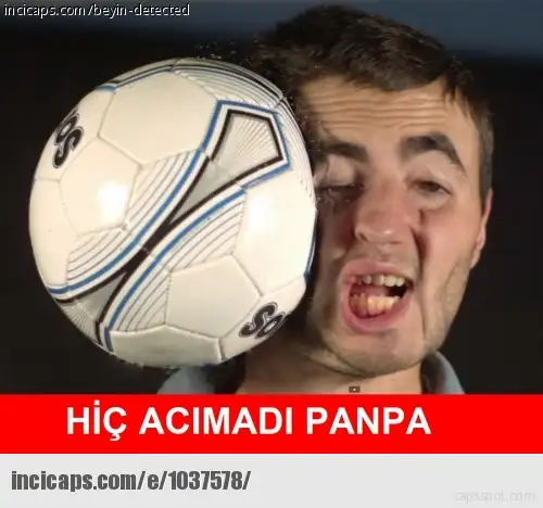1037578.webp