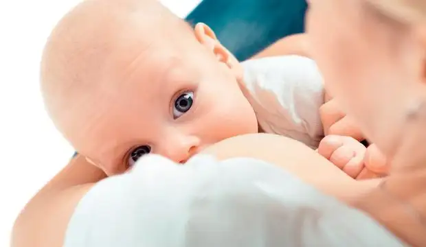 1039275_620x360.webp
