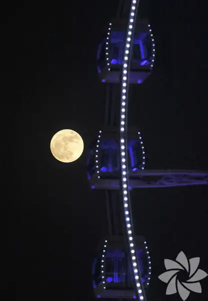 1041255_265e5adab7a30acfc9a09ea2cd279cae_600x600.webp