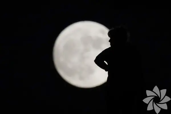 1041255_27196711fd85620038b96f18c5eea1dc_600x600.webp