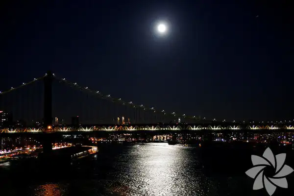 1041255_8e85d46ab080d6783f3636ff4739b99a_600x600.webp