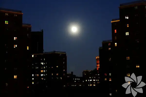 1041255_ede2d5c6f6946608179ce20eb81910df_600x600.webp