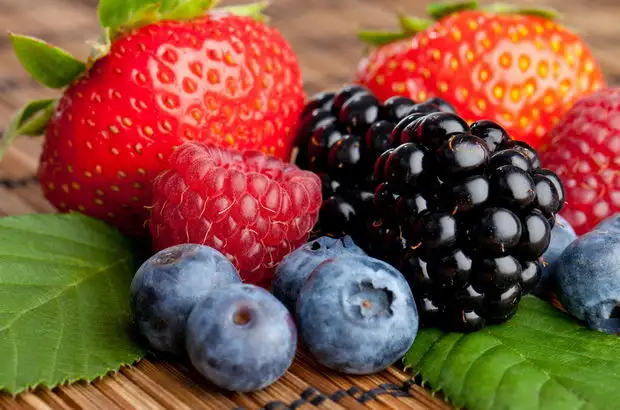 1057417_620x410.webp