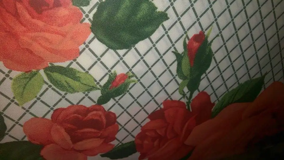 10726559_10152421656875924_1517704599_n.webp