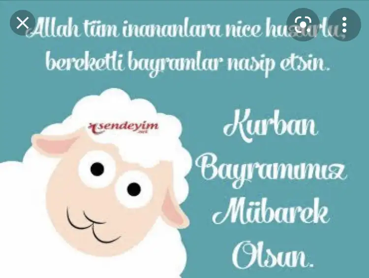 1080C3A6-B144-47B1-A845-53059EE6FCB3.webp