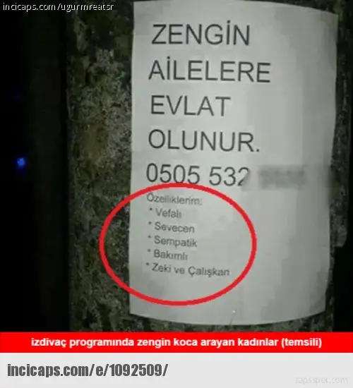 1092509.webp