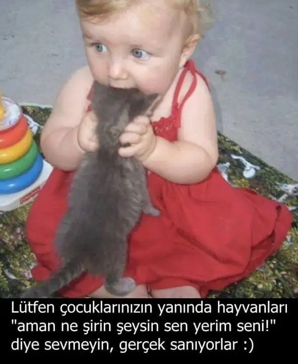 10949836_700639183367543_1261328589_n.webp