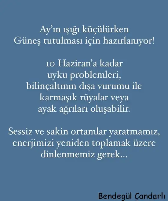 10hazz (1).webp