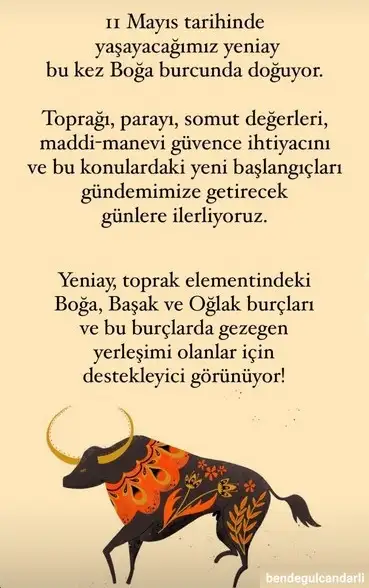 11 may  boğa.webp