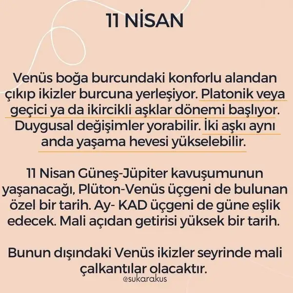 11 nis ven ikizler.webp