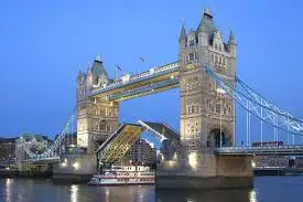 11.webp