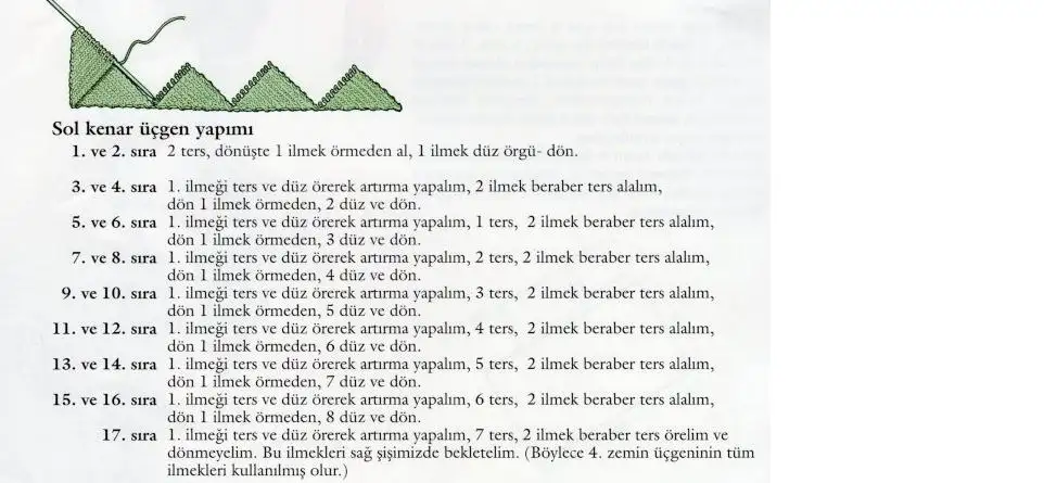 11.webp