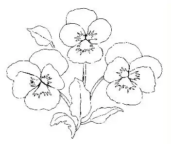 11.webp