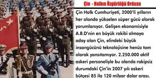 11.webp