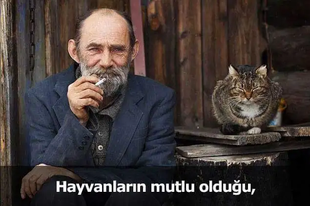 11.webp