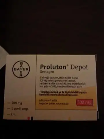 11.webp