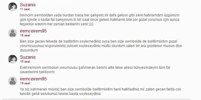11.webp