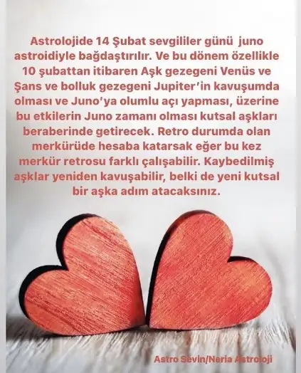 11.webp