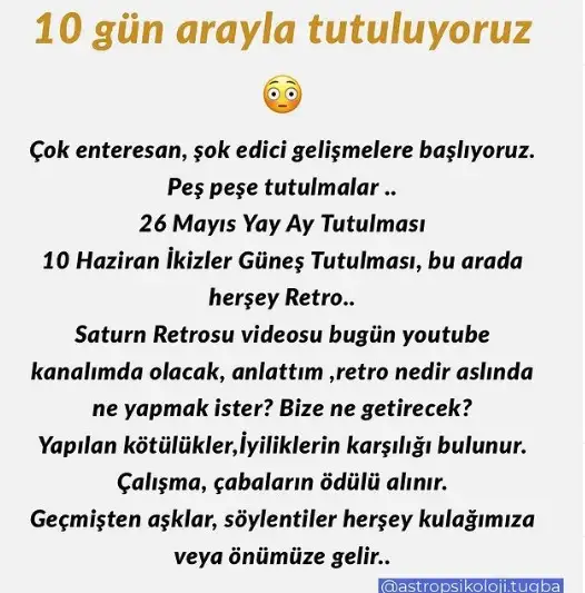 11.webp