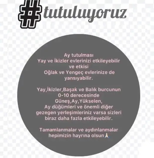 11.webp