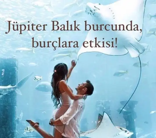 11.webp