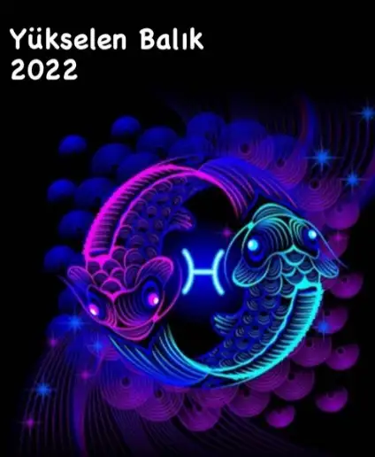 11.webp