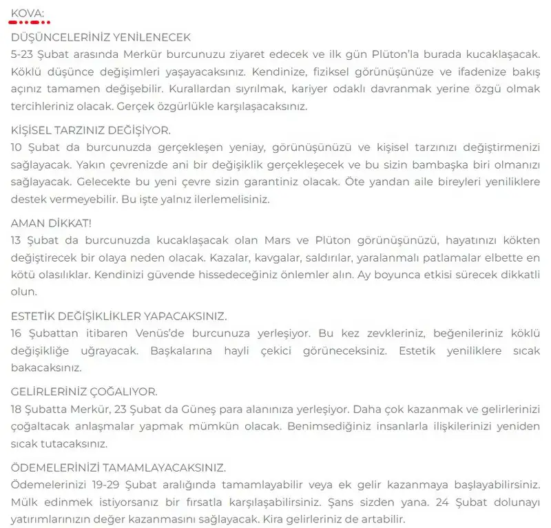 11.webp