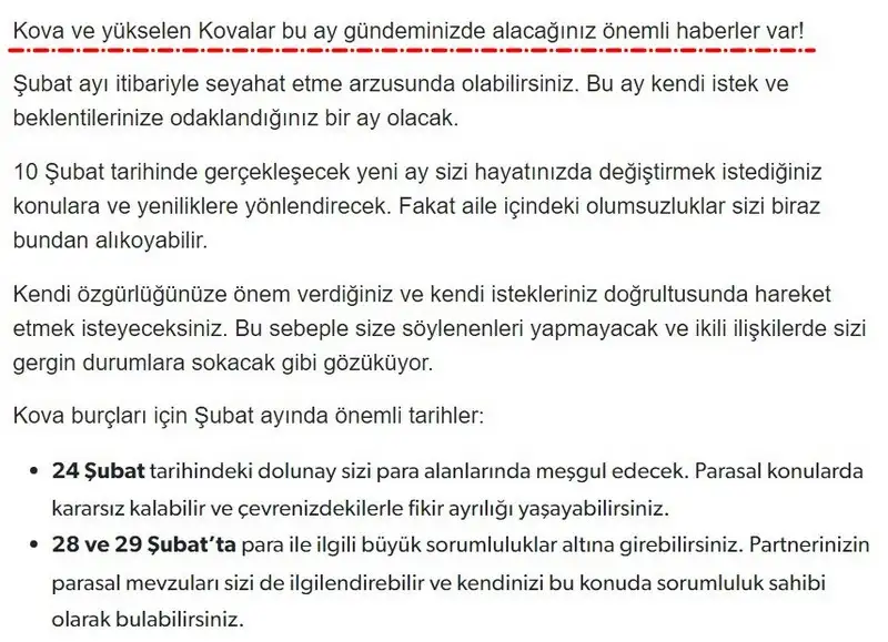 11.webp
