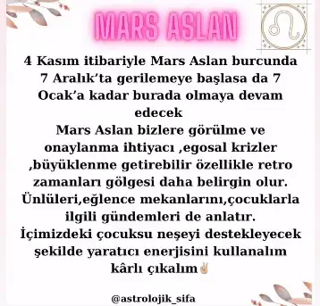 11.webp