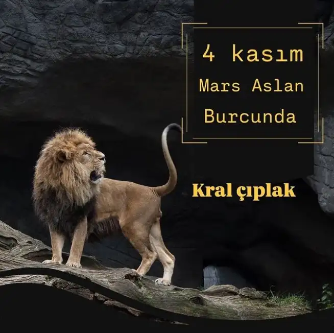 11.webp