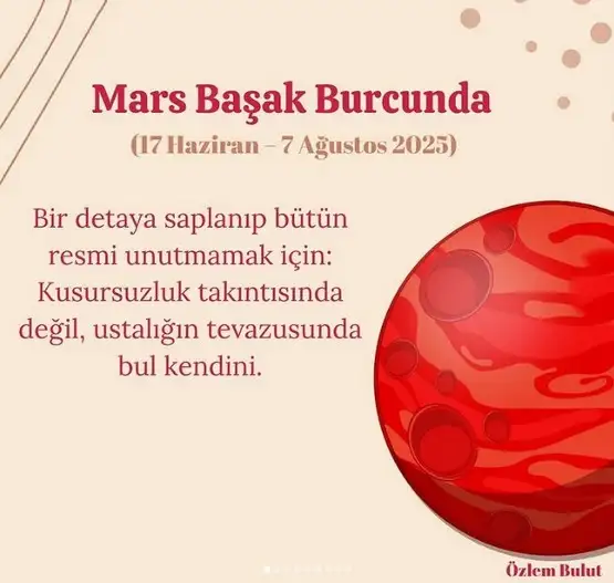 11.webp