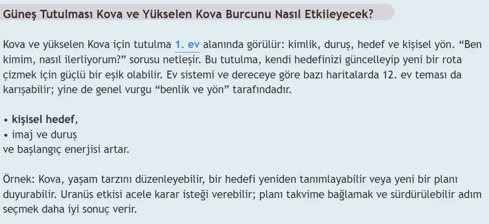 11.webp