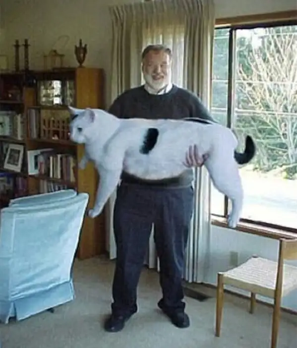 1102341917364.webp