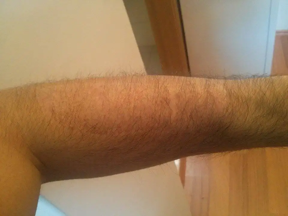 meli orneklem girisim kadinlar kulubu jilet izi afmsan com