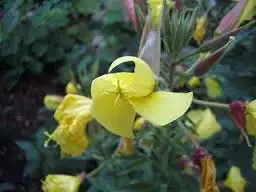 111.webp