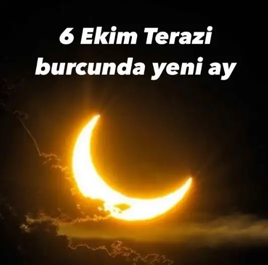 111.webp