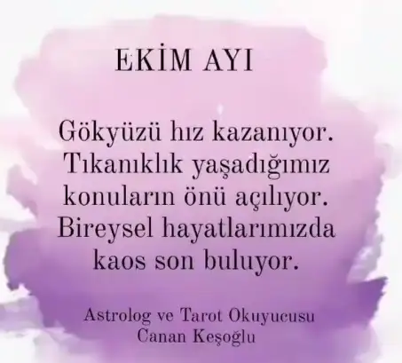 111.webp