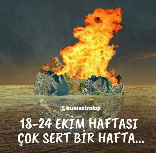 111.webp