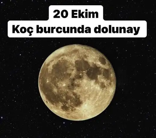 111.webp