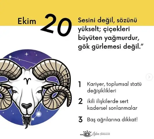 111.webp