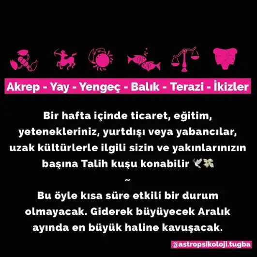 111.webp