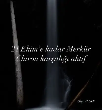 111.webp