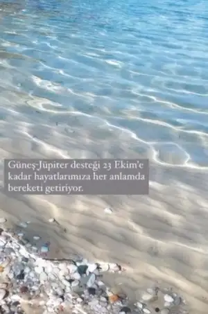 111.webp