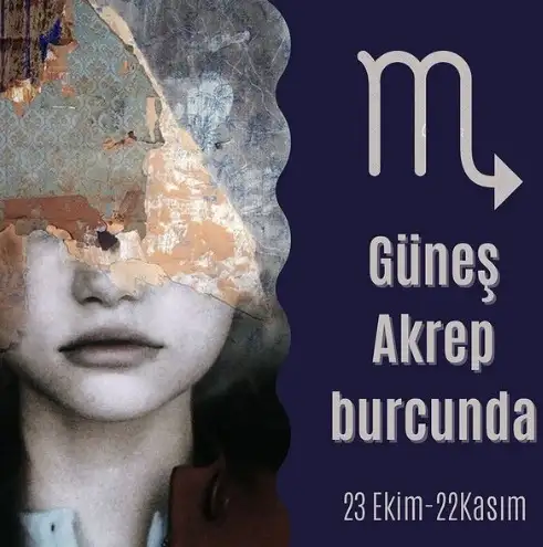 111.webp