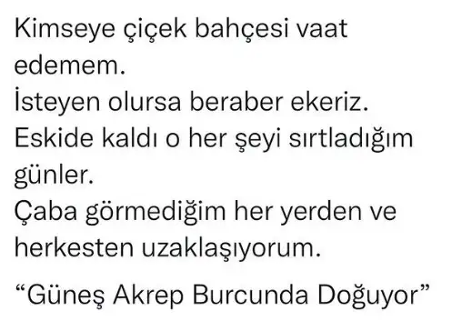 111.webp
