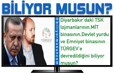 11109210_971085339570558_4318922540850953164_n.webp