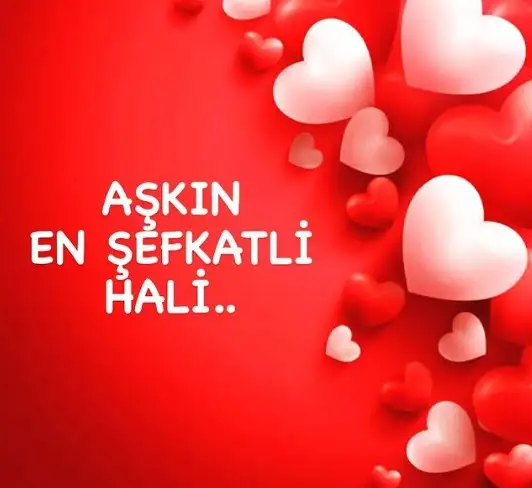 1111.webp