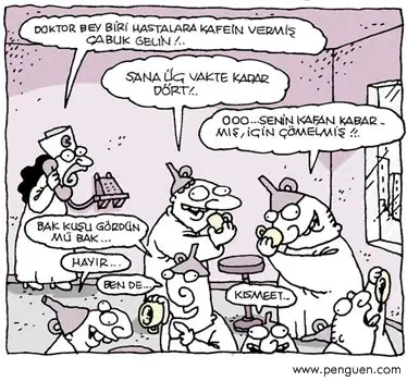 111111111111.webp
