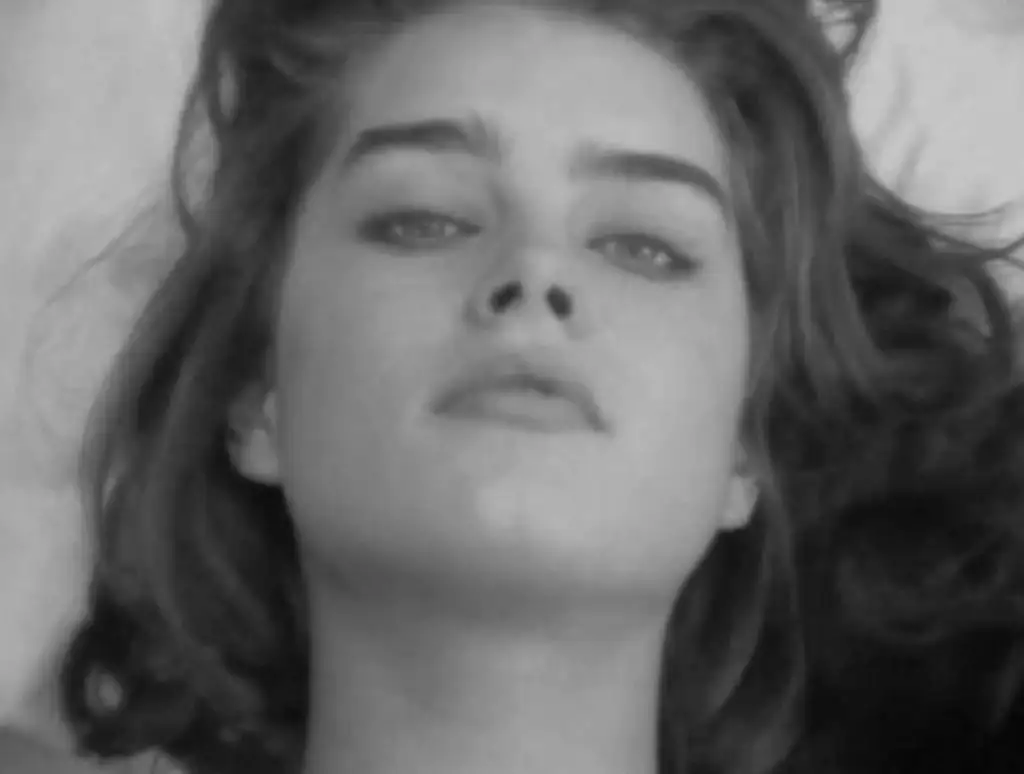 1118full-brooke-shields.webp